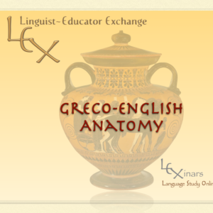 Greco-English Anatomy on a Greek urn image