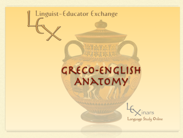 Greco-English Anatomy on a Greek urn image