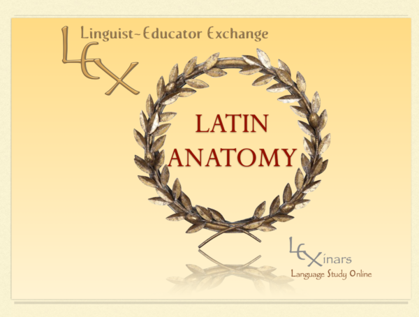 Latin Anatomy Cover Photo