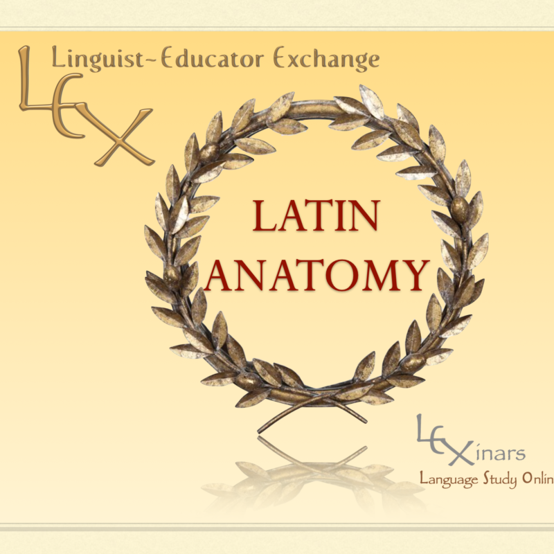 Latin Anatomy Cover Photo